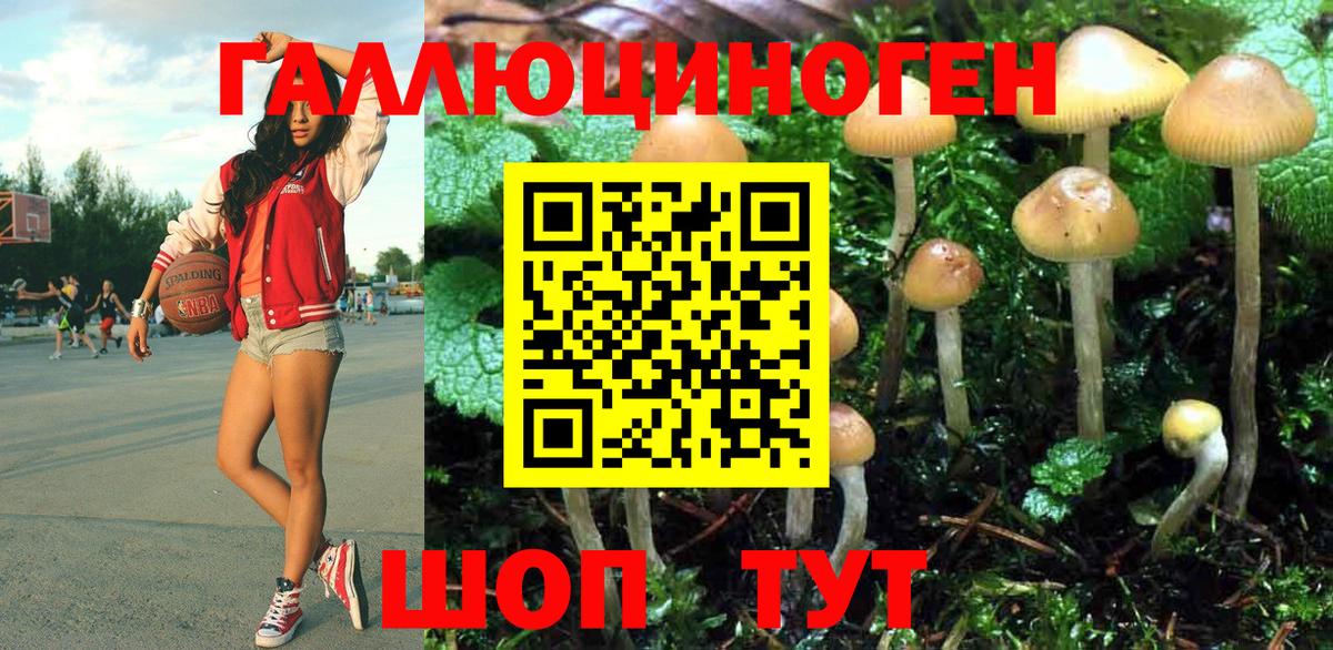 Галлюциногенные грибы Cubensis  Псилоцибиновые грибы MAGIC MUSHROOMS  Вход с VPN  Всеволожск 