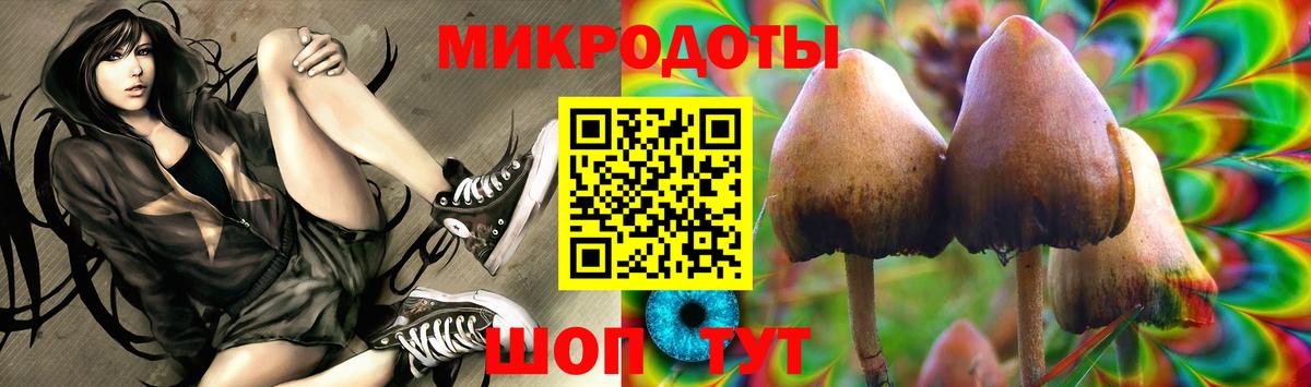 Псилоцибиновые грибы GOLDEN TEACHER Всеволожск